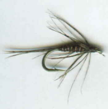 Partridge and Olive Nymph picture