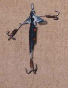 quill minnow picture