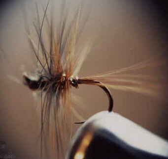 HT's dry fly patterns: IRON BLUE DUN