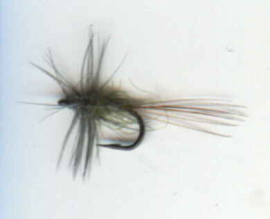 Blue Wing Olive Nymph - Here is a great pattern from http